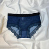 Romantic Lace-Trimmed Mesh Panty Collection